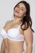 Кружевной бюстгальтер push-up Elita 1906